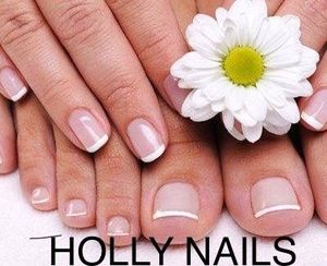 HOLLY NAILS logo