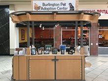 Photo of City of Burlington Pet Adoption kiosk